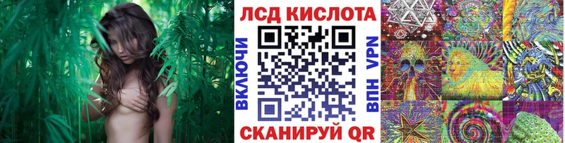 ОМГ ОМГ ссылка  Горно-Алтайск  Наркотические марки 1,5мг  купить наркоту 
