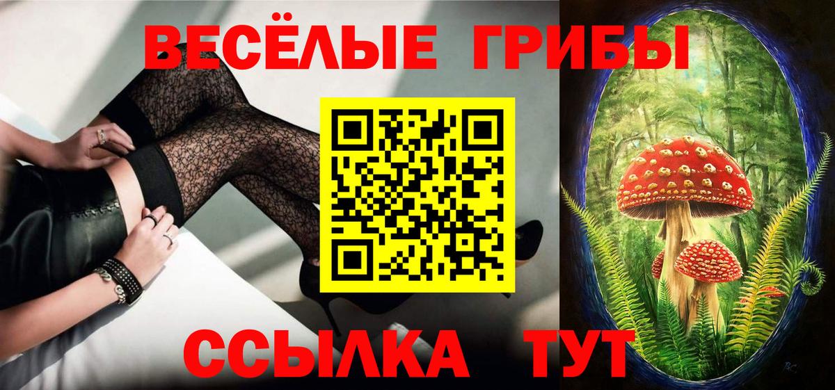 Галлюциногенные грибы GOLDEN TEACHER Горно-Алтайск