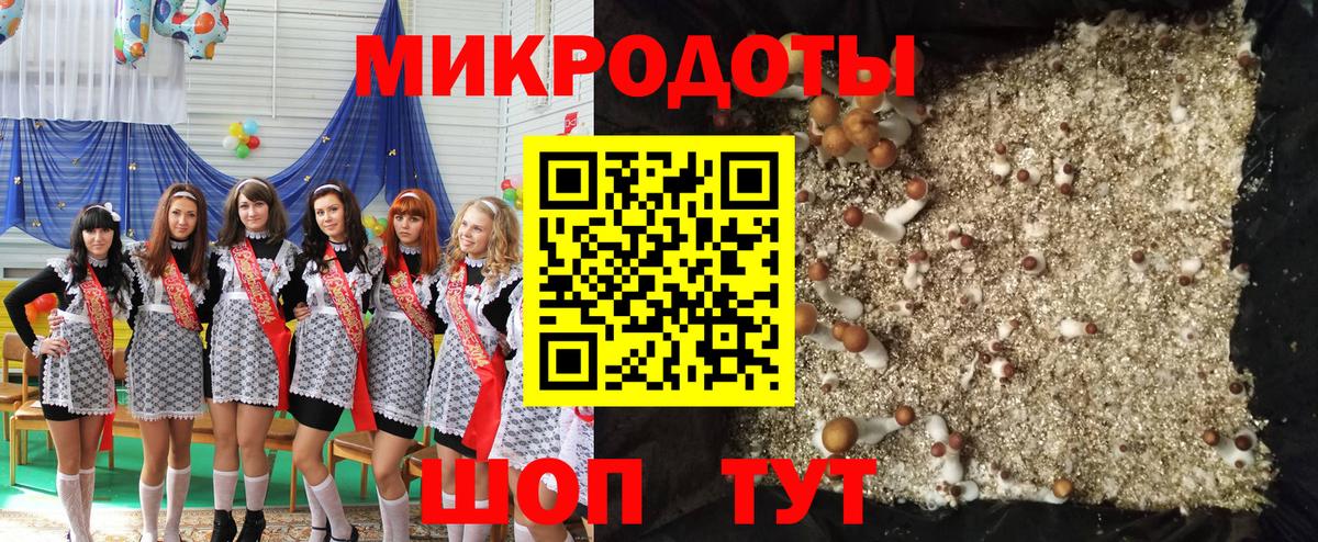 Галлюциногенные грибы Psilocybe  Галлюциногенные грибы Cubensis  наркошоп  Вход с VPN  Горно-Алтайск 
